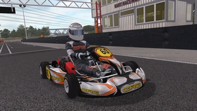 Kart Racing Pro